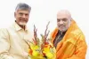 ఈ రోజు రాత్రి ఏపీకి అమిత్ షా.. చంద్రబాబుతో భేటీ..!