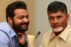 ‘థాంక్యూ అమ్మా..’ ఎన్టీఆర్ ట్వీట్‌కు బాబు స్పందన