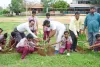 మానవ మనుగడకు మొక్కల పెంపకం అవసరం -మాజీ సర్పంచుల సంఘం రాష్ట్ర అధ్యక్షుడు  లక్ష్మీ నరసింహా రెడ్డి