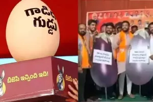 గాడిద గుడ్డు వర్సెస్ వంకాయ