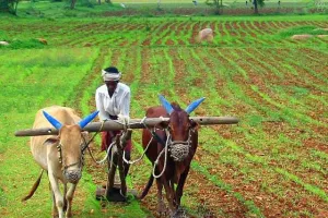 రైతులకు గుడ్ న్యూస్.. ఎకరాకి రూ. 7500