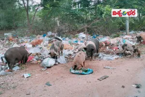 గ్రామాలలో ప్రభలుతున్న విష జ్వరాలు