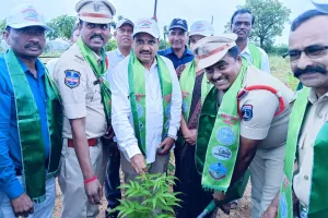 మొక్కలను సంరక్షించడం సామాజిక బాధ్యత