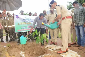 పచ్చటి మొక్కలతోనే భవిష్యత్తు తరాలకు భరోసా...