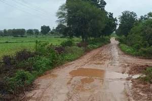  బీటీ రోడ్డు నిర్మించి వీరన్నపల్లి బస్సును పునరుద్ధరించాలి